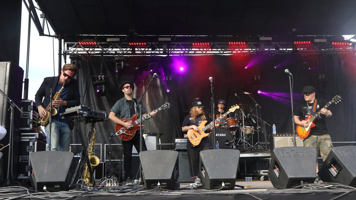 First Thoughts Lettuce, 'Mt. Crushmore'