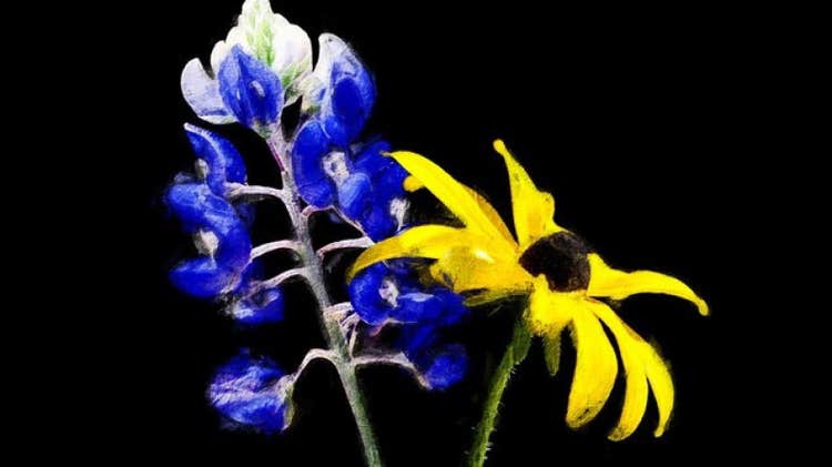 Wale, Yella Beezy, and Maxo Kream flip a Houston classic in new “Down South” single