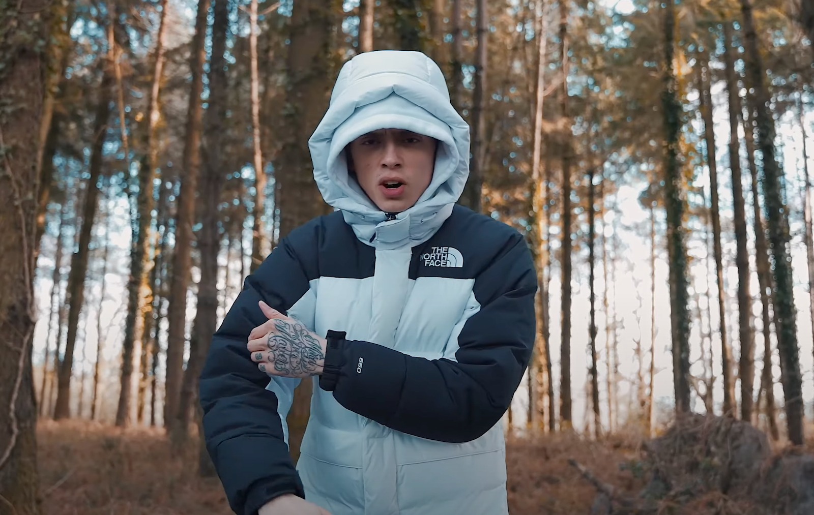 ダウンジャケット the north face  Down  central cee Central Cee 