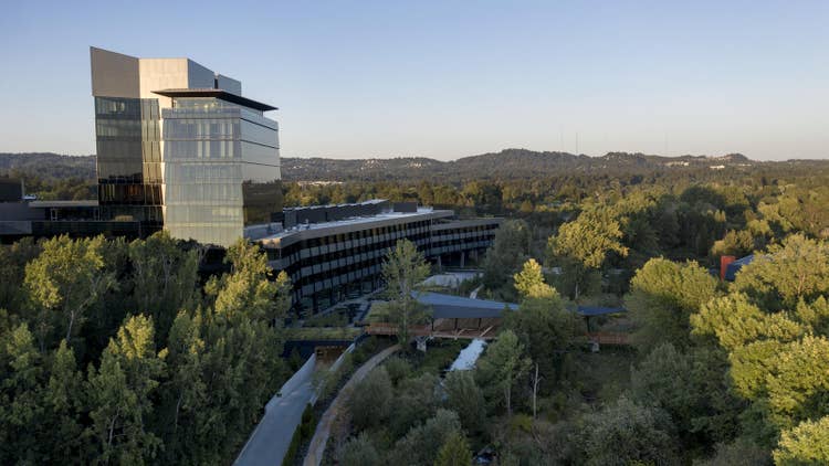 Serena Williams Nike Building