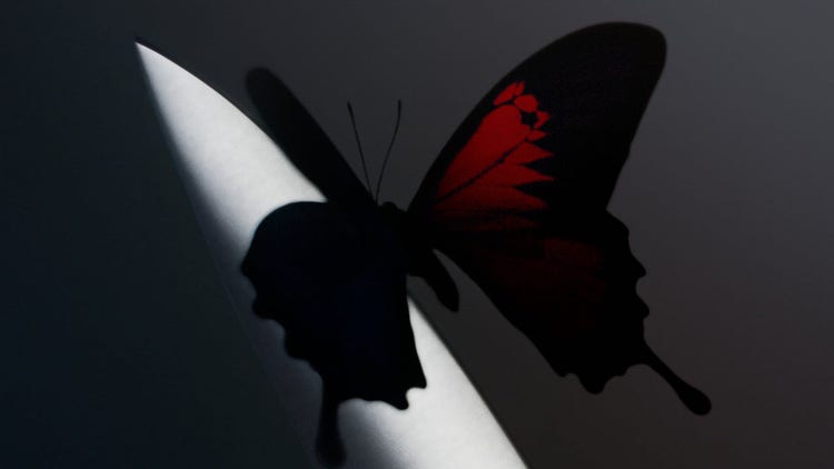 Post Malone Roddy Ricch