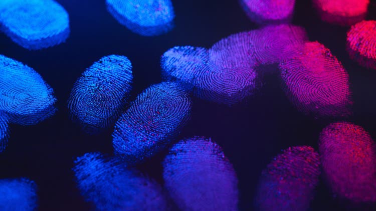 human finger prints