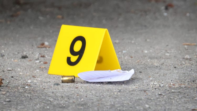 Highland Park Shooting