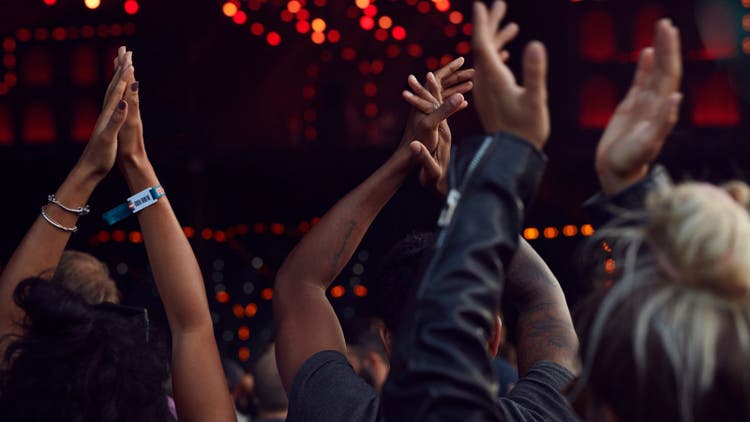concert goers
