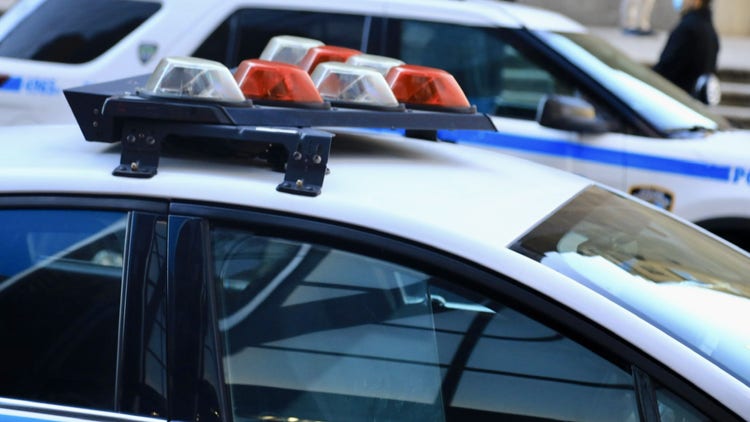 Raleigh Police