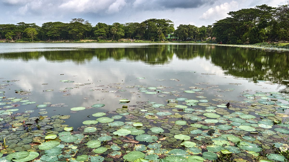 Drowning of three sisters in Texas pond investigated as homicide