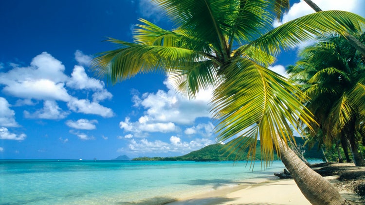 Martinique (for Fyre Fest article)