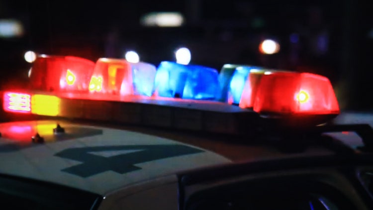 Police car