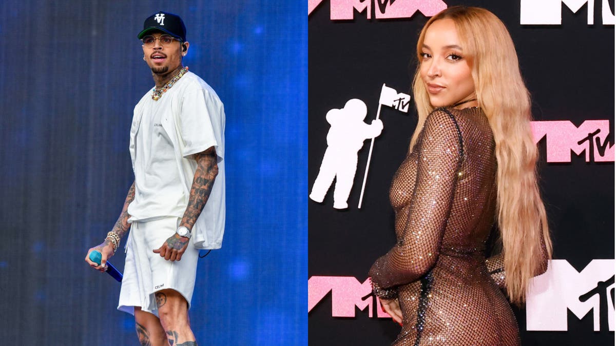 Chris Brown Responds To Tinashe Saying She Didn't Want To Work With Him