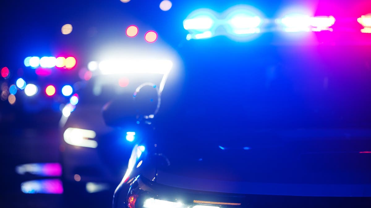 Georgia police admit they “should have done more” after leaving Black disabled couple stranded at 3 a.m. following a traffic stop