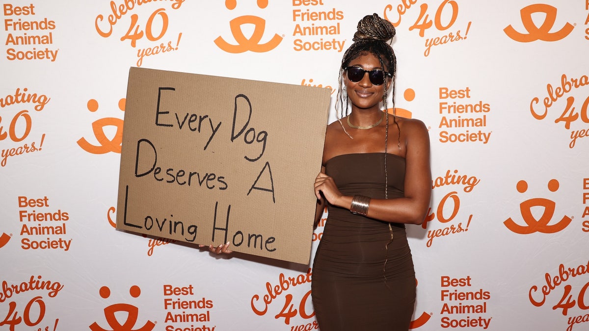 Dudette With Sign: 15 Best Messages