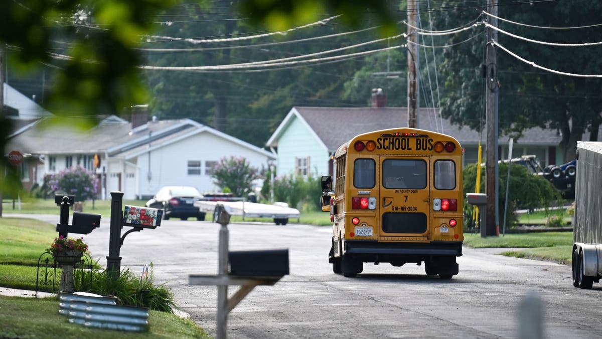 Minnesota man credits “Grey's Anatomy” for helping save 19 students after jumping onto moving school bus during driver's medical emergency