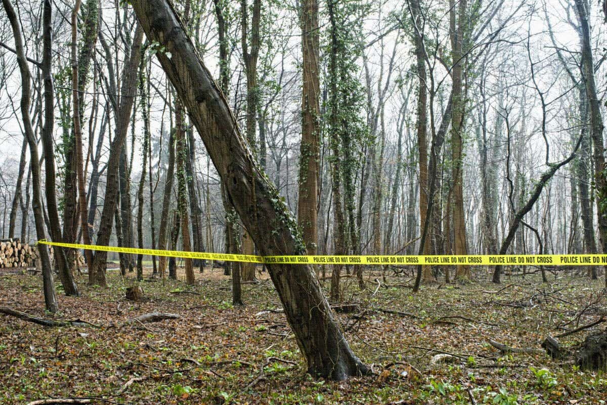 Nicco Annan Movies and TV Shows: Why He’s More Than Just Uncle Clifford